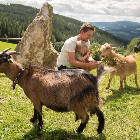 Gasthof Pension Orthofer ザンクト・ヤーコプ・イム・ヴァルデ エクステリア 写真